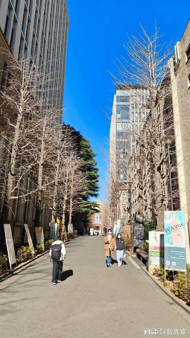 (图1)