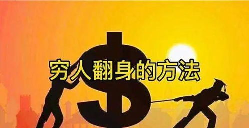(图1)