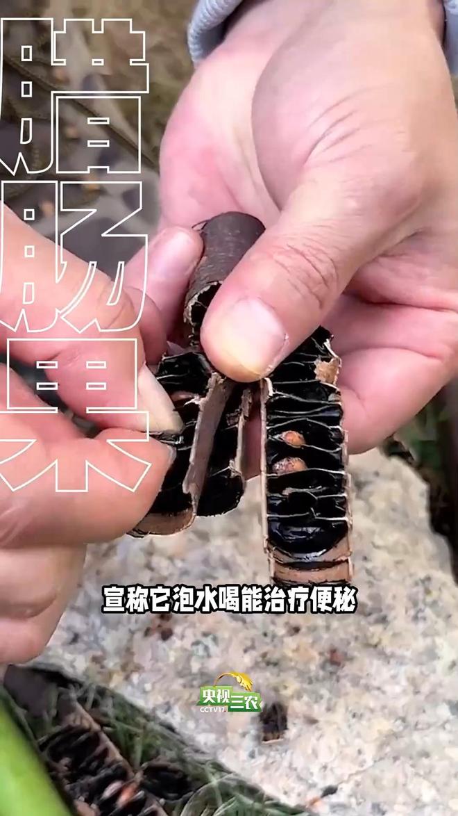 (图3)