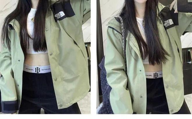 (图15)