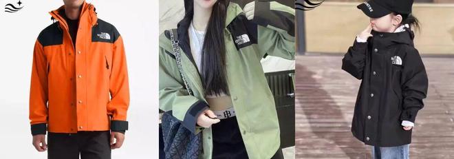 (图19)