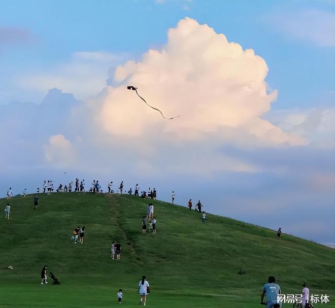 (图2)