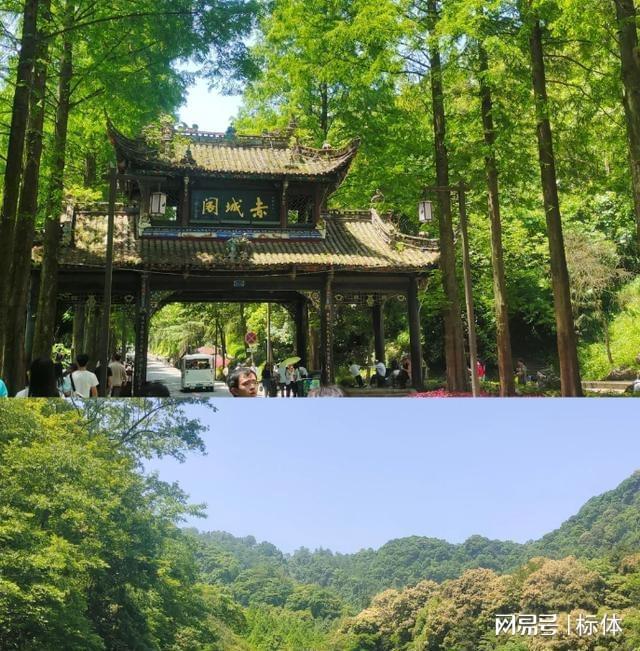 (图3)
