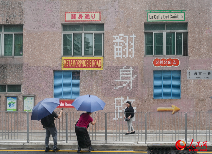 (图1)