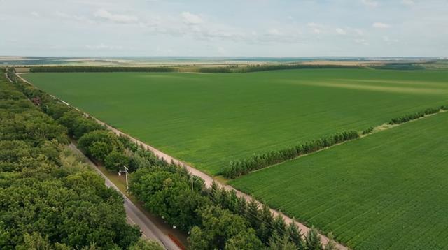 九游app：千禾携手国家级农场共建非转基因大豆供应基地