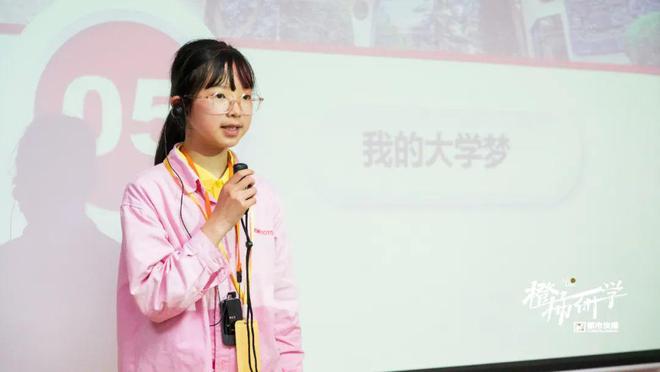 (图16)
