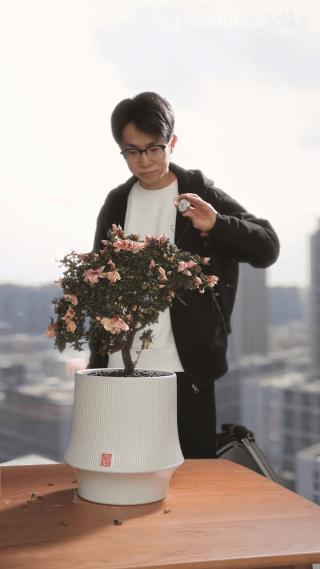 何同学、米饭仙人等多位博主推荐揭秘美的饭煲“蓬松香甜”科技魔法！