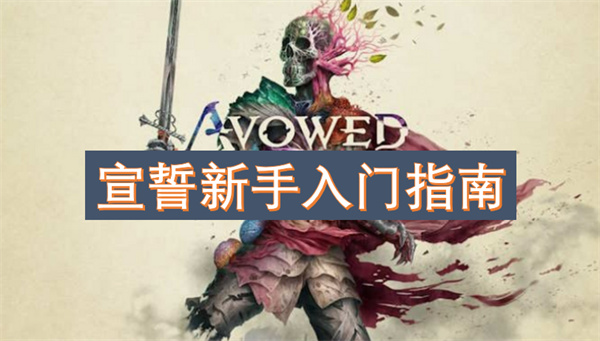 宣誓新手入门指南