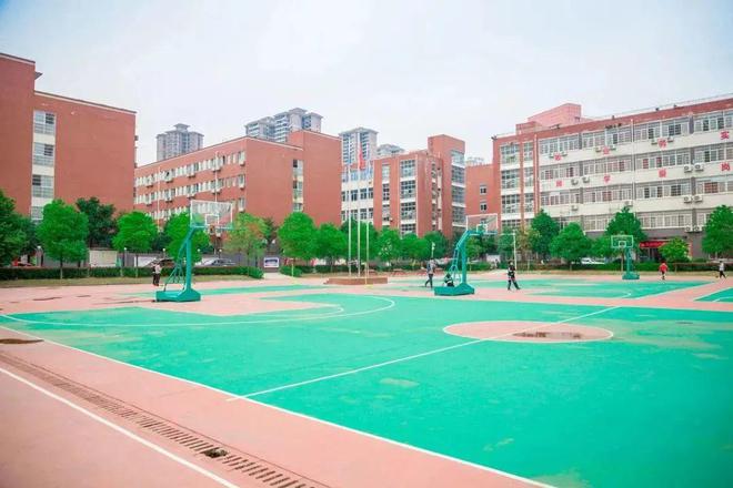 (图12)