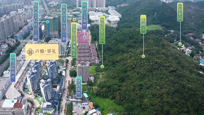 (图6)