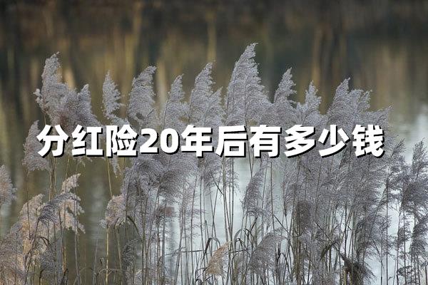 分红险20年后有多少钱？真实案例拆解+避坑指南