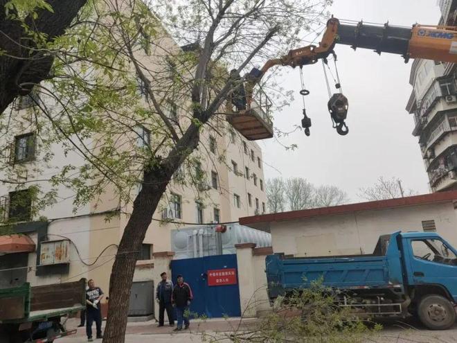 (图2)