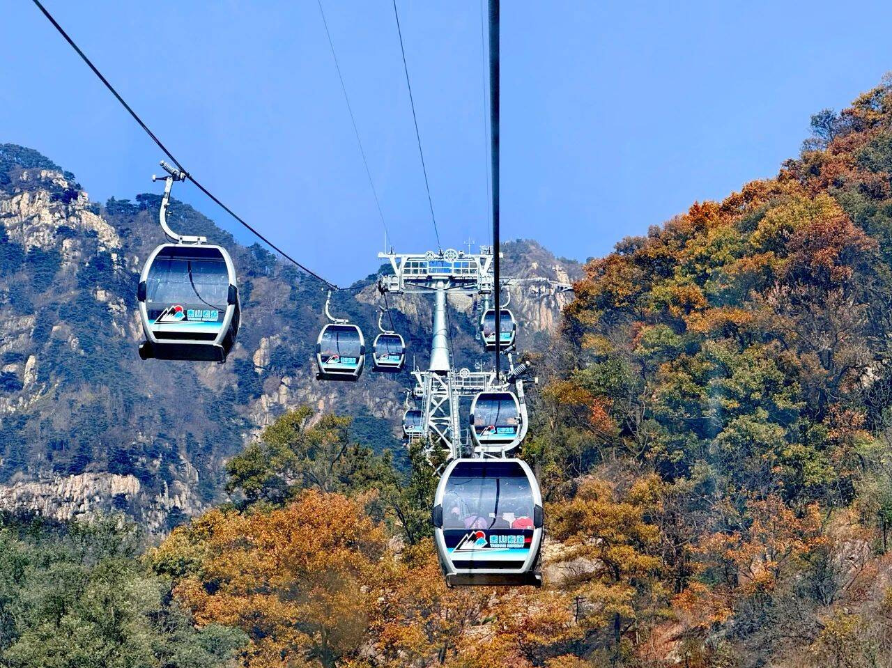 (图3)