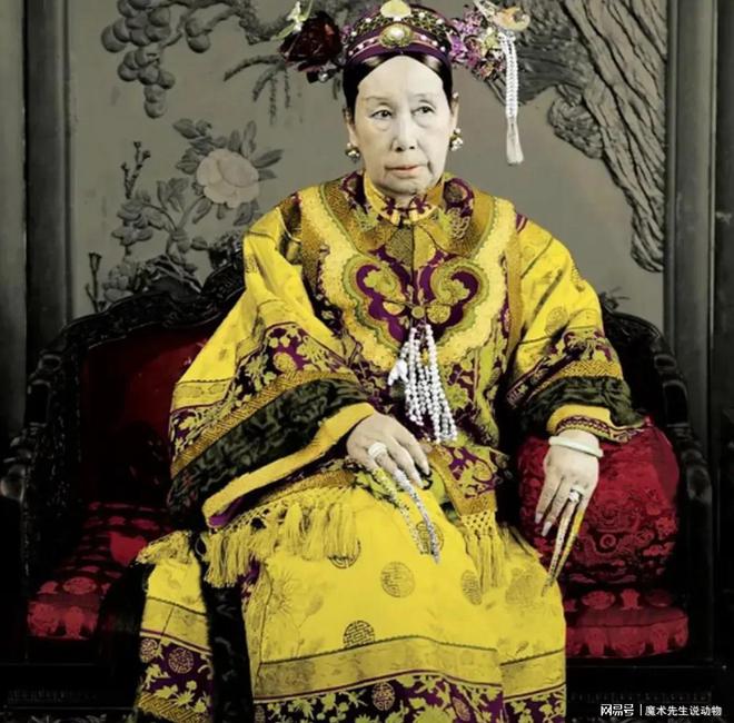 清朝摄政王载沣为什么丢掉政权