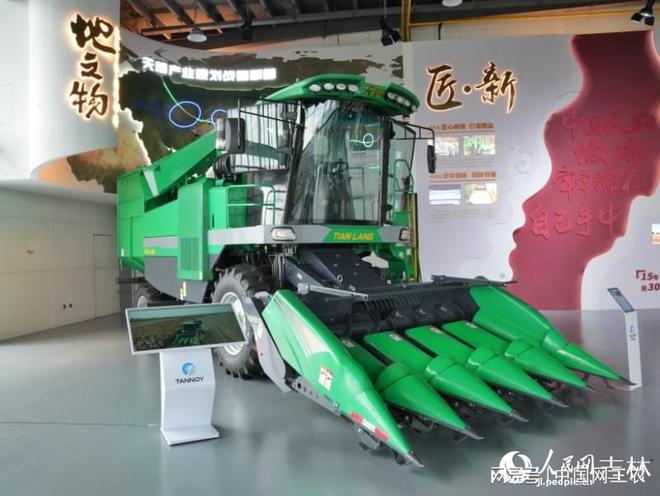 (图3)