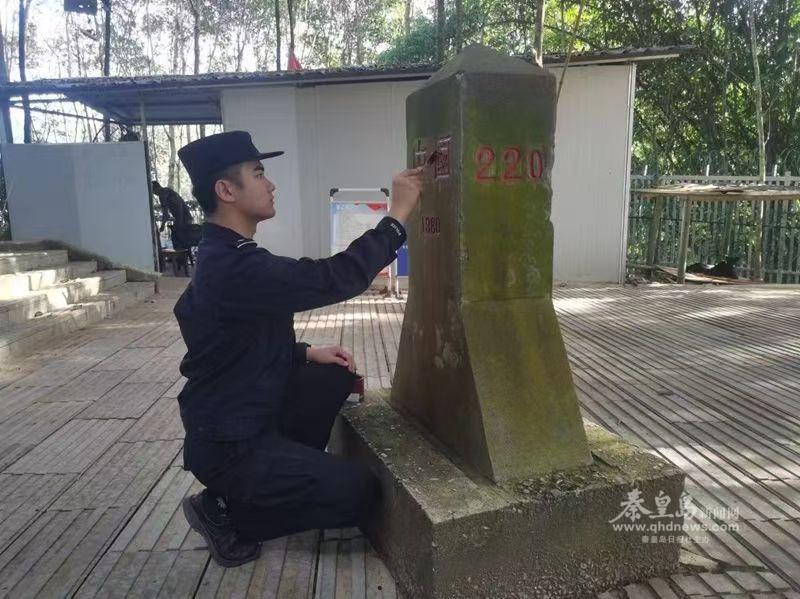 (图2)