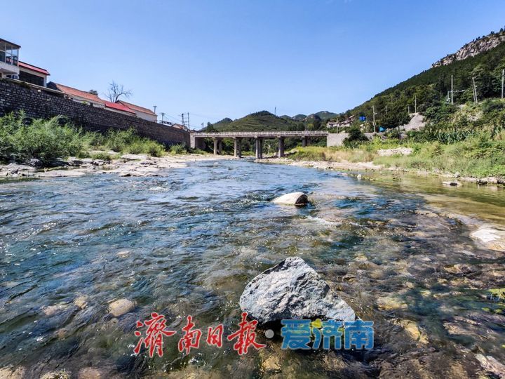 (图13)