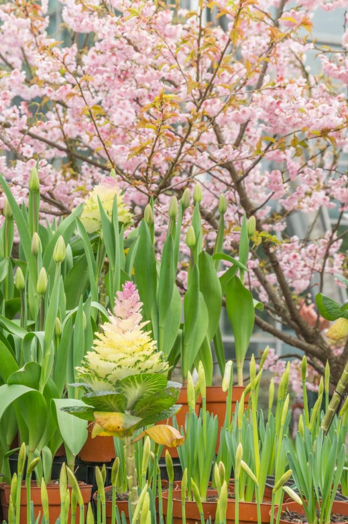 九游娱乐：2025重庆六一儿童节活动（持续更新）