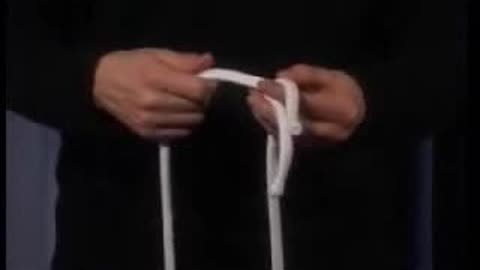 (图1)
