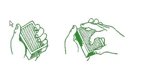 2026来日照过大年!全攻略来啦!