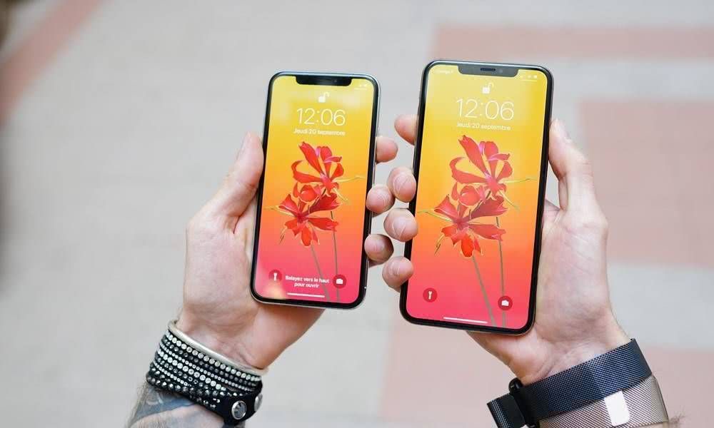 (图1)