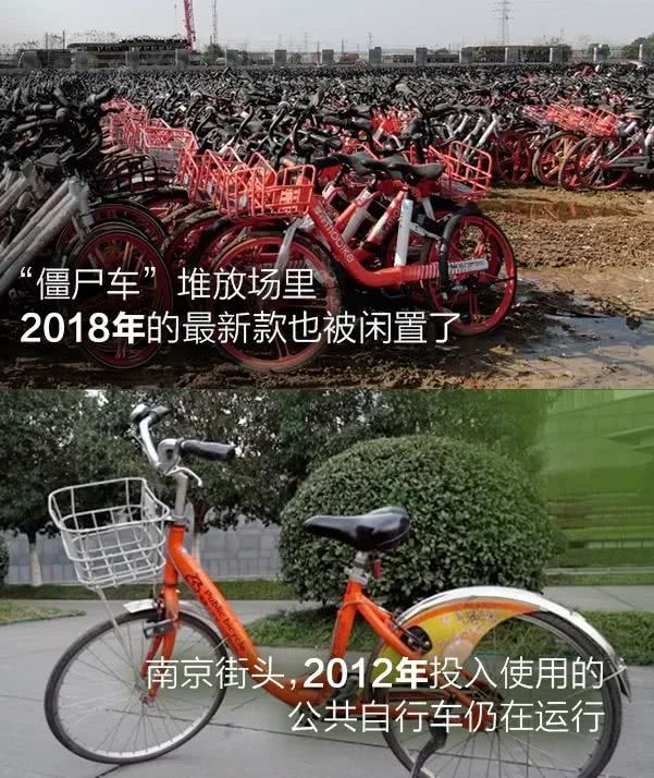 (图1)